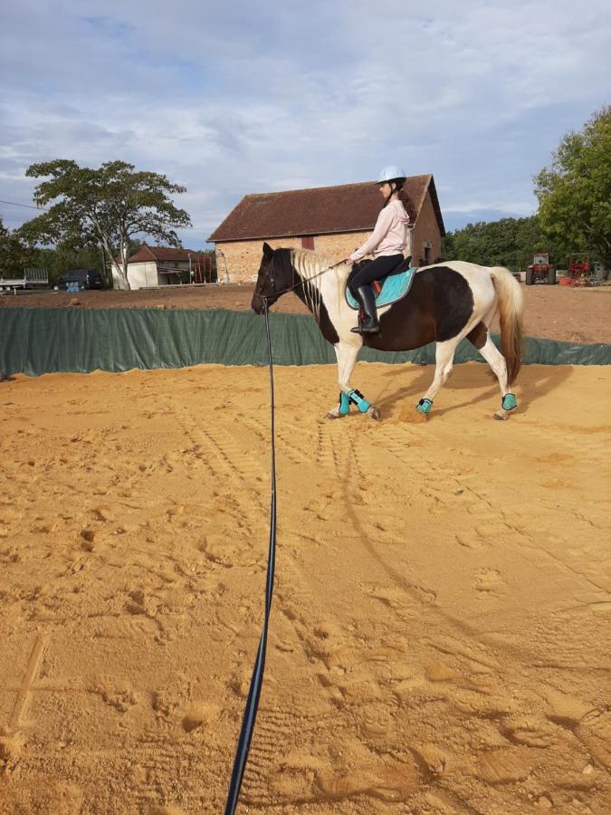 Gite Equestre Domaine Des Crins - Monpazier Capdrot Exterior photo